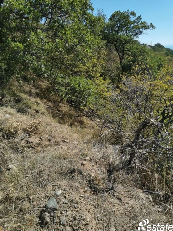 Земельный участок муниципальный округ Алушта