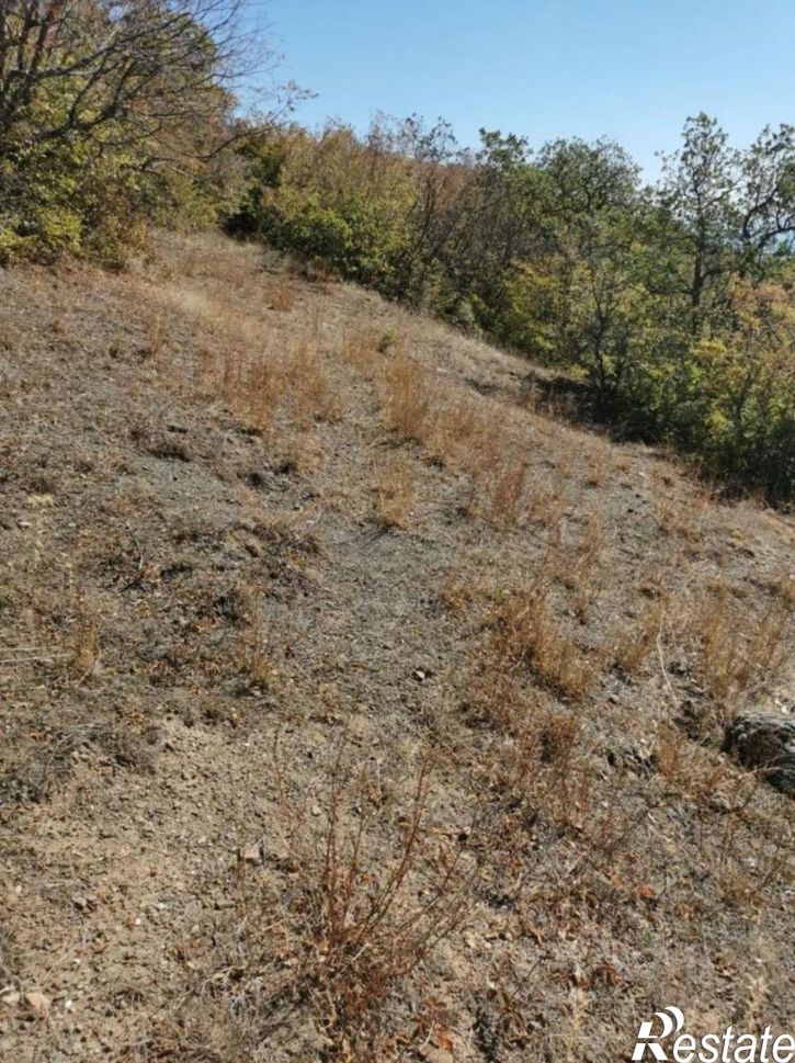 Земельный участок муниципальный округ Алушта