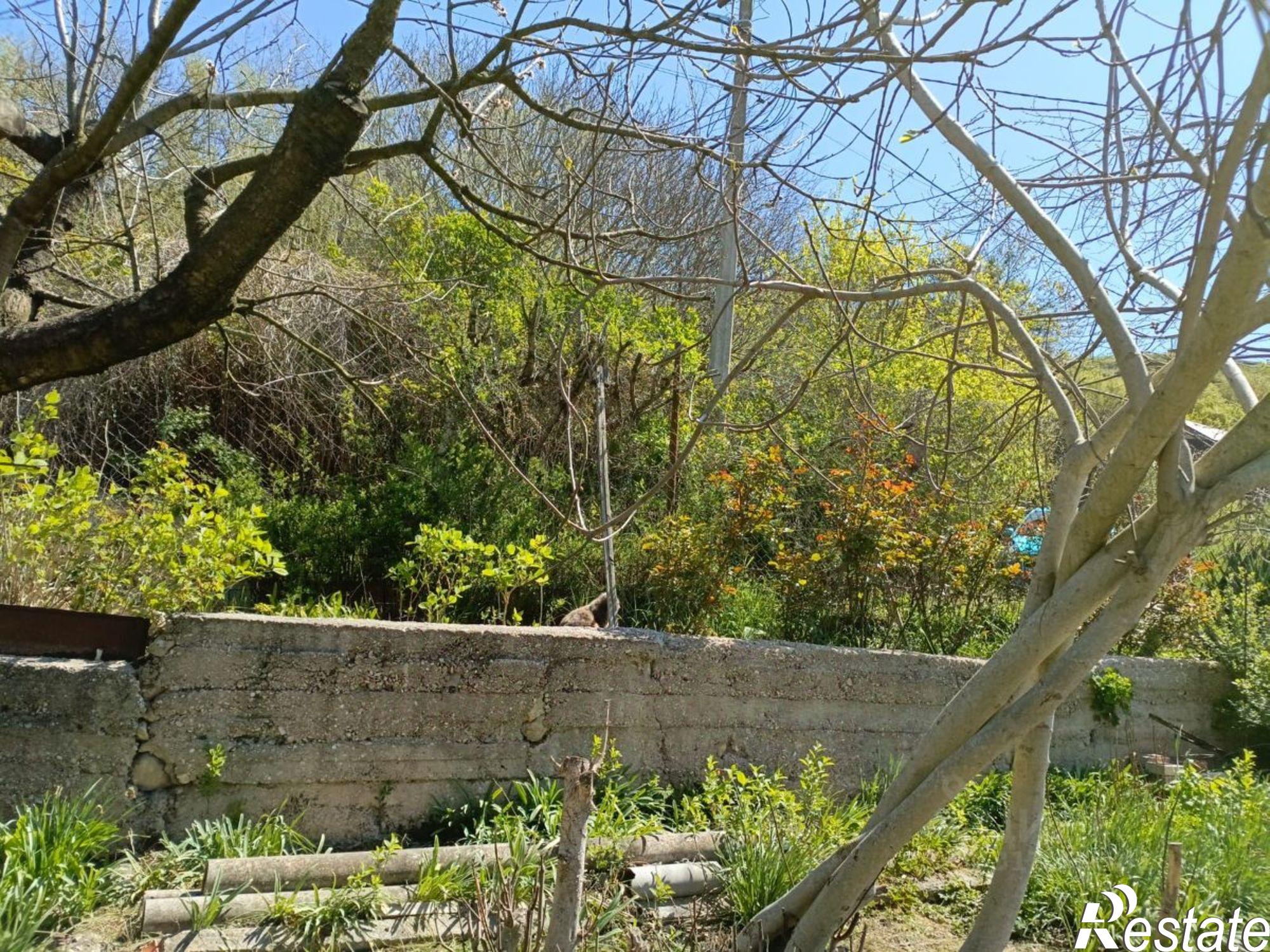 Купить землю, земельный участок за 4 200 000 рублей на Севастополь, садовое товарищество Тополёк, 7