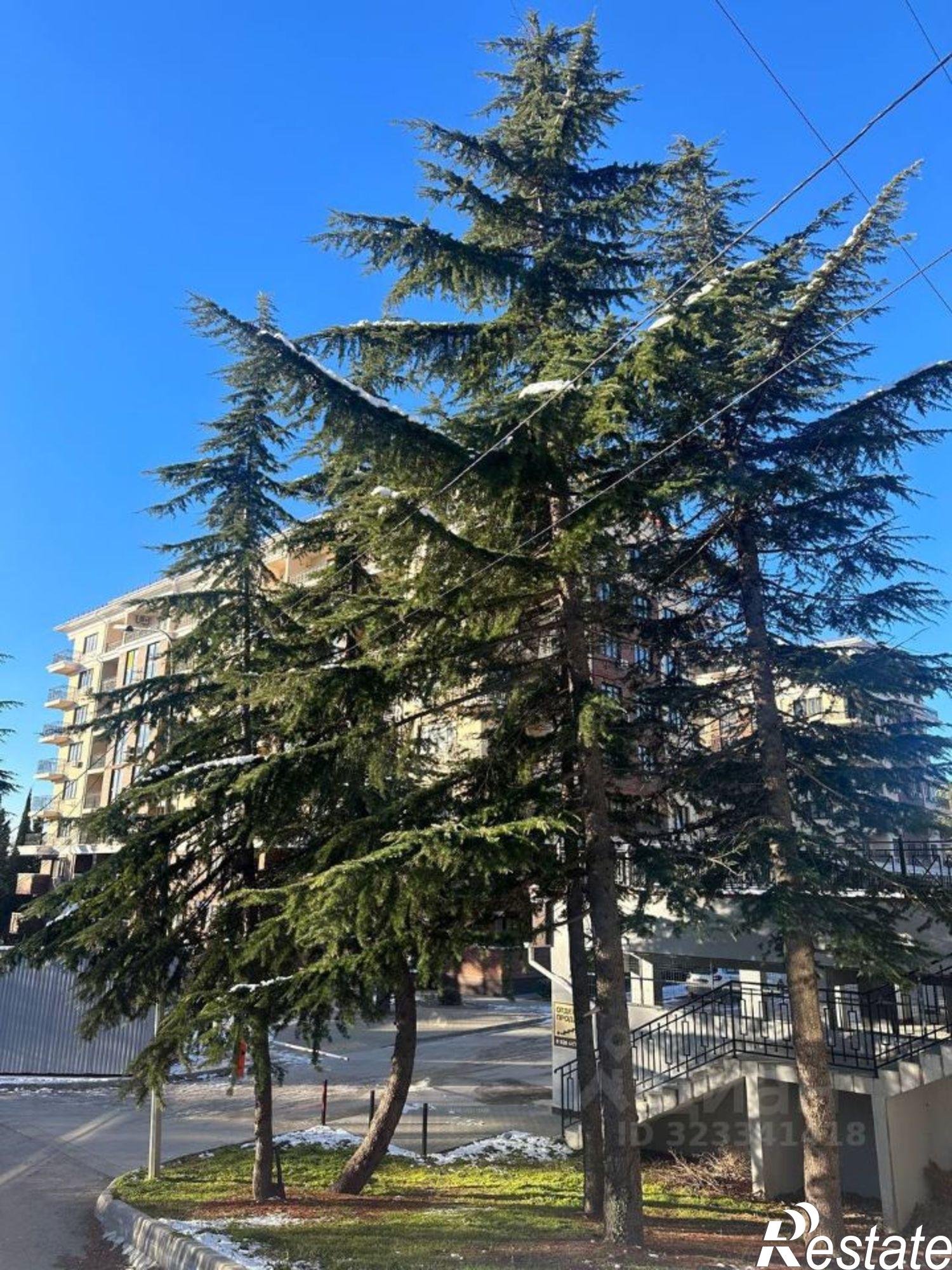 Купить квартиру за 9 821 000 рублей на улица Авроры, 77 к1