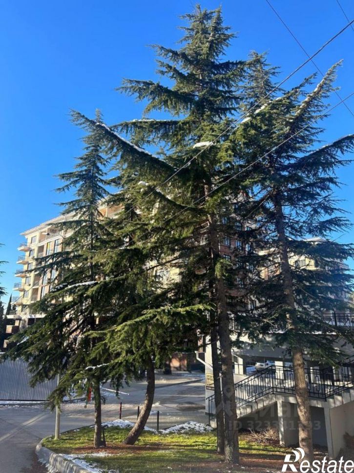 1-комн квартира улица Авроры, 77 к1,  д. 77 к1