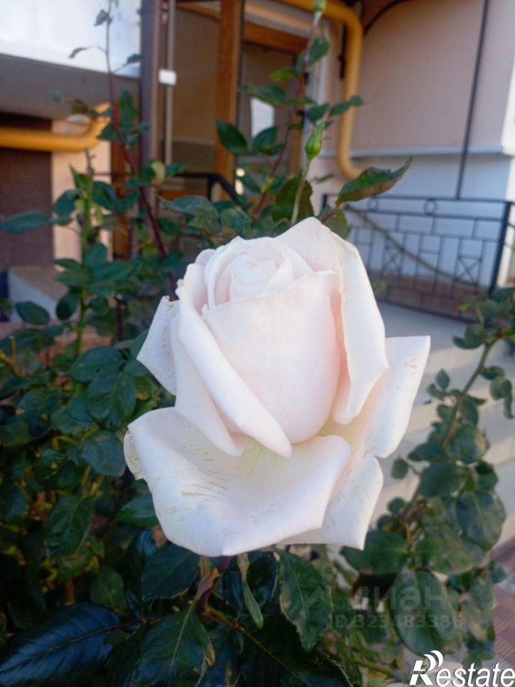 1-комн квартира Рубежный проезд, 28,  д. 28