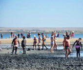 земля 11 сот улица Кирова, 81