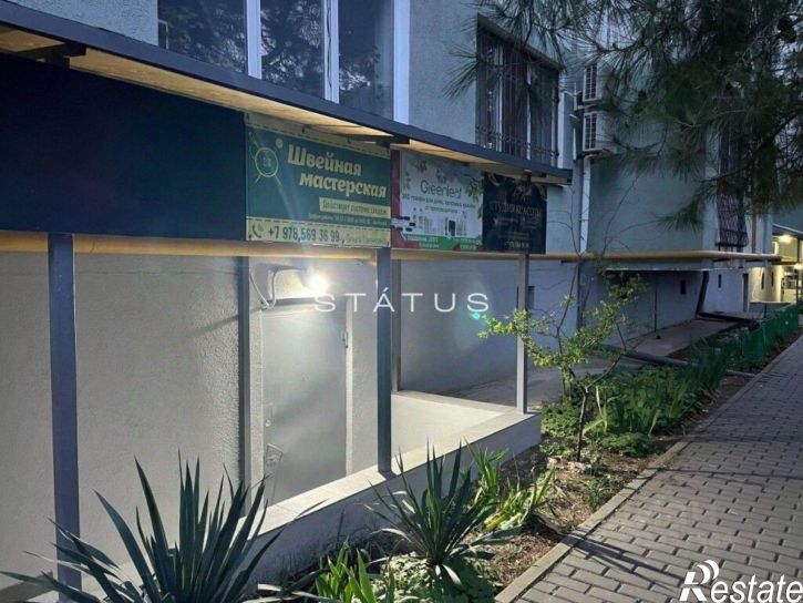 Помещение свободного назначения проспект Генерала Острякова, 229/2,  д. 229/2