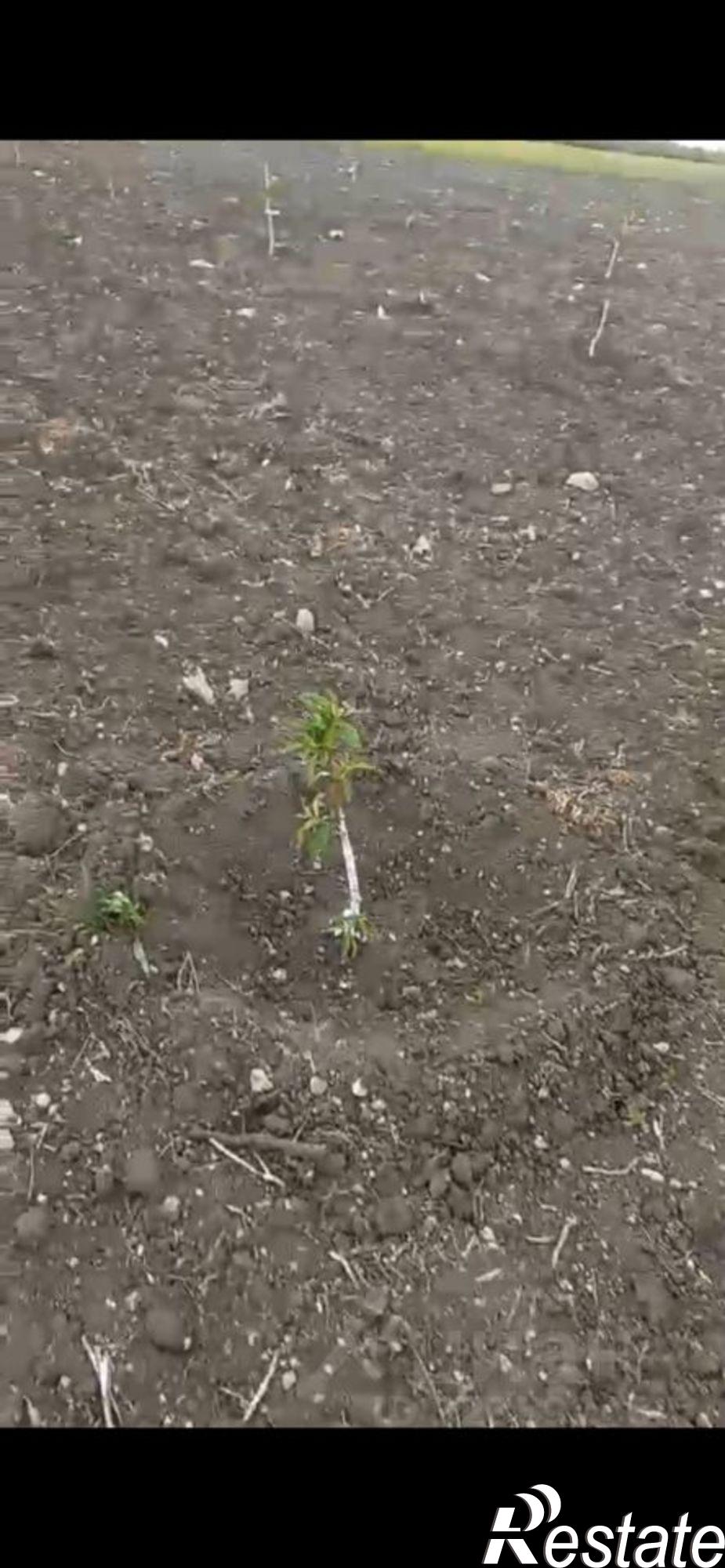 Купить землю, земельный участок за 18 000 000 рублей на Кировский район