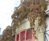 72 кв м ул Судакская, 17