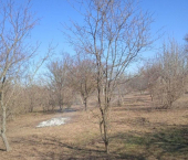 земля 10 сот Сакский район