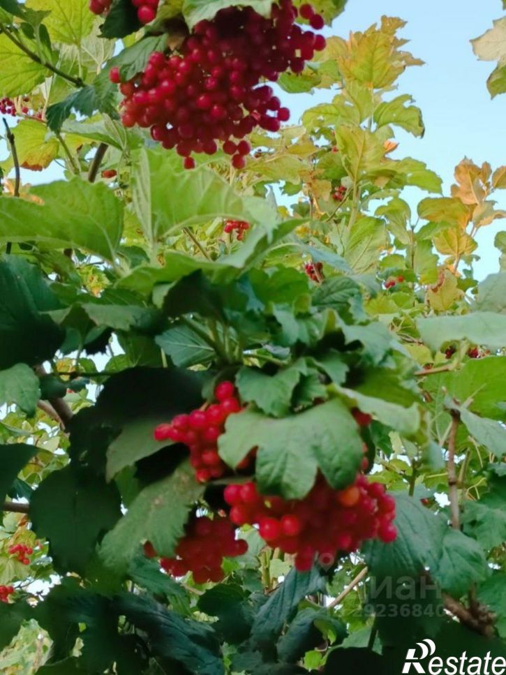 Коттедж/дом