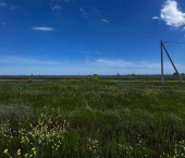 земля 7 сот муниципальный округ Феодосия