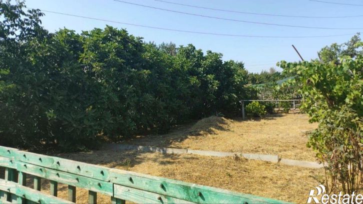 Земельный участок