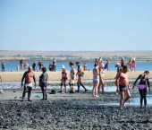 земля 11 сот улица Кирова, 81