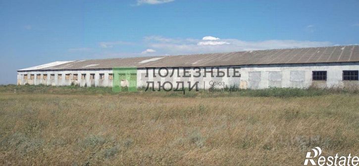 Помещение свободного назначения Черноморский район, Красная Поляна с.