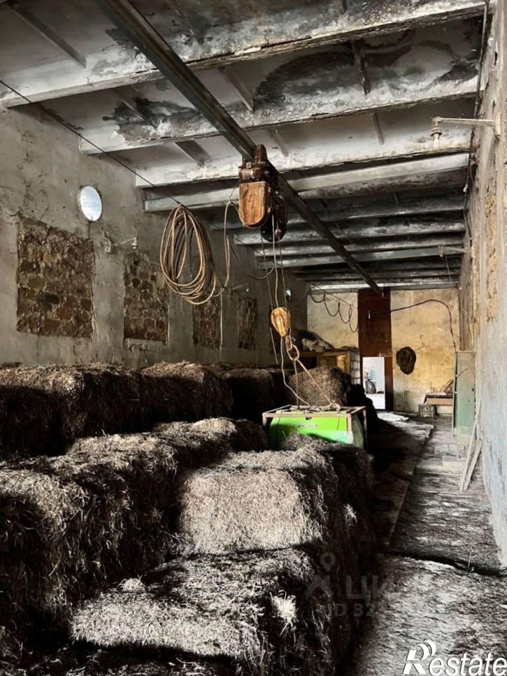 Помещение свободного назначения ул Железнодорожная