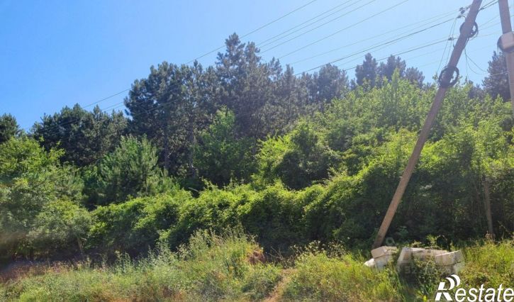 Коттедж/дом Симферопольский район