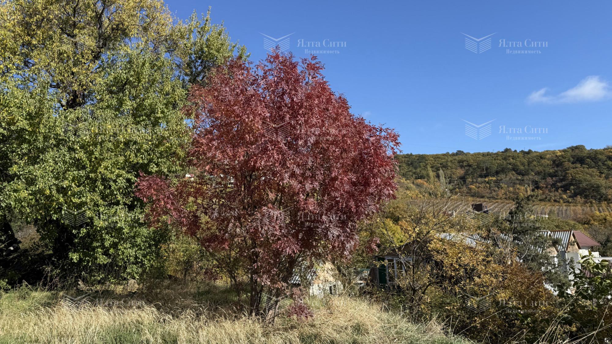 Купить дачу, дом, коттедж за 15 500 000 рублей на Ароматная ул.