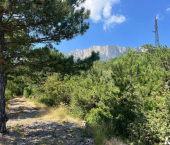 земля 53 сот улица Изергина, 3