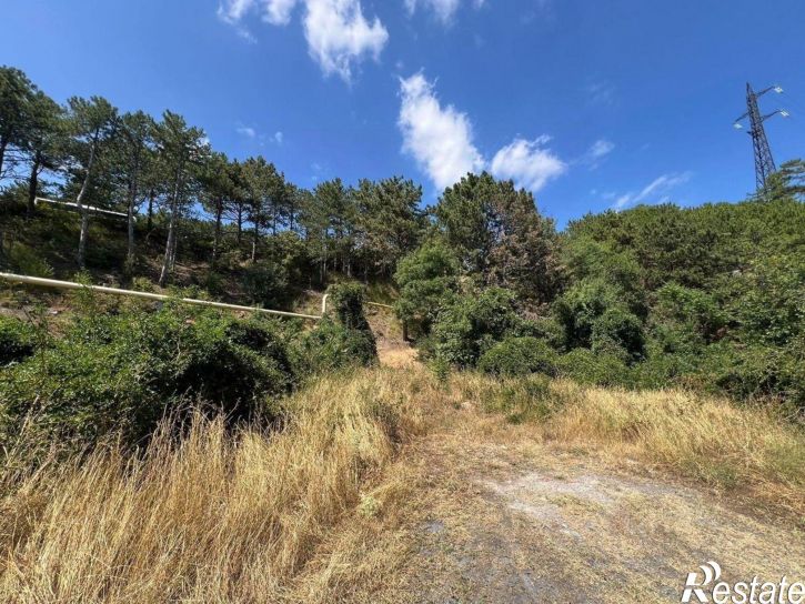 Земельный участок улица Изергина, 3,  д. 3