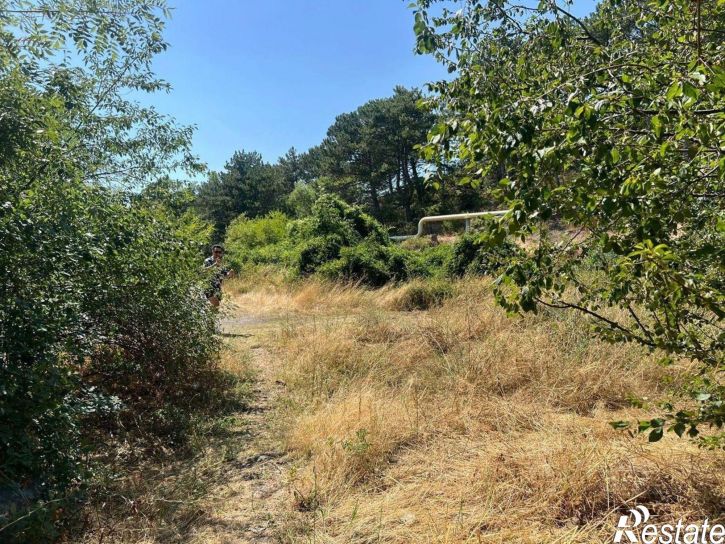 Земельный участок улица Изергина, 3,  д. 3