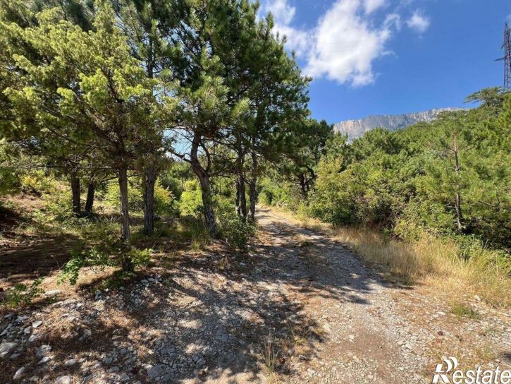 Земельный участок улица Изергина, 3,  д. 3