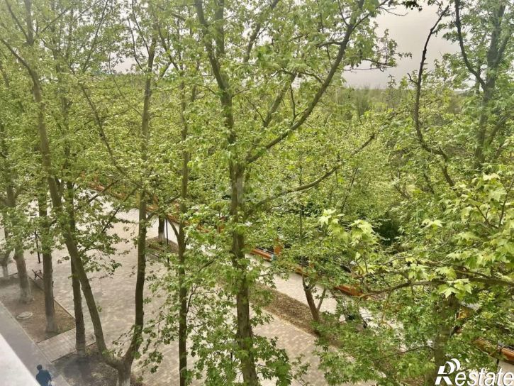 2-комн квартира Курортная улица, 4Е,  д. 4Е