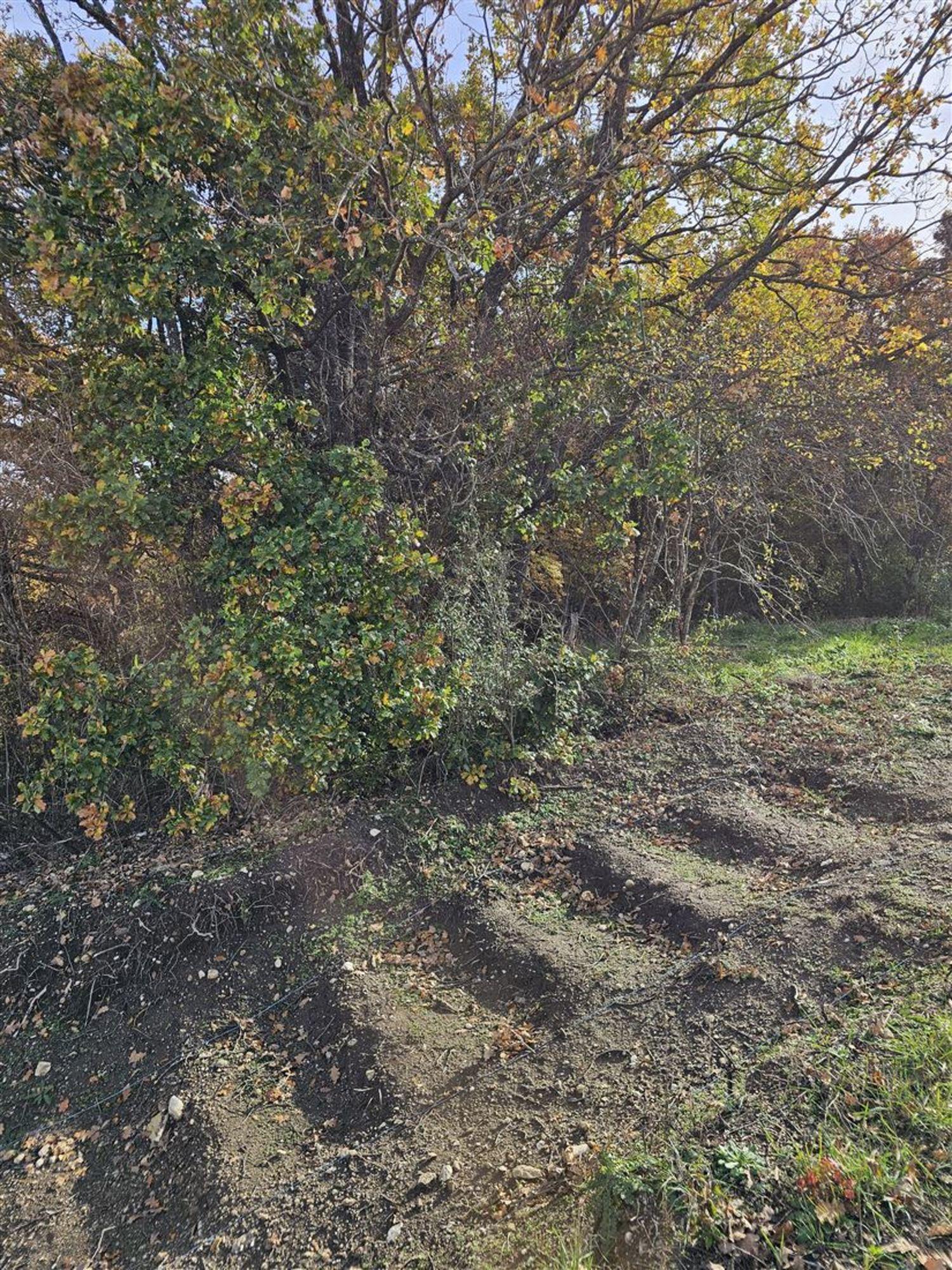 Купить дачу, дом, коттедж за 5 900 000 рублей на Южный пер, д. 69