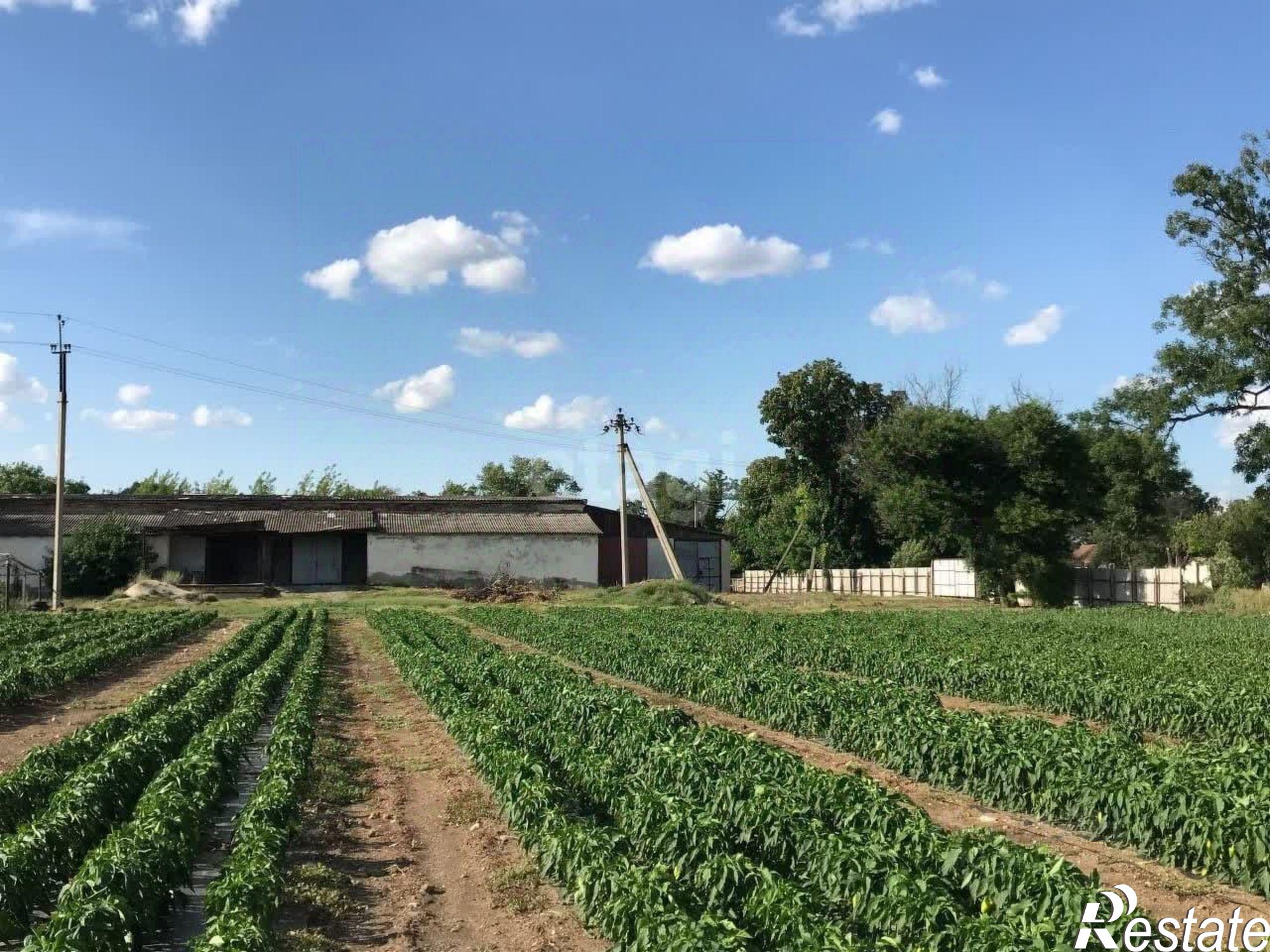 Купить складское помещение за 27 983 000 рублей на Нижнегорский район