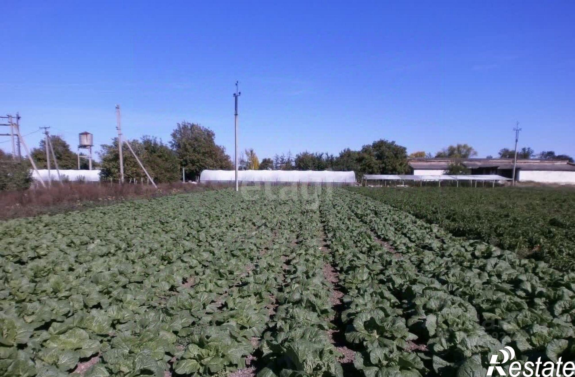 Купить складское помещение за 27 983 000 рублей на Нижнегорский район