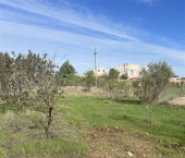 земля 6 сот Саки