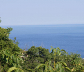 земля 40.9 сот муниципальный округ Ялта