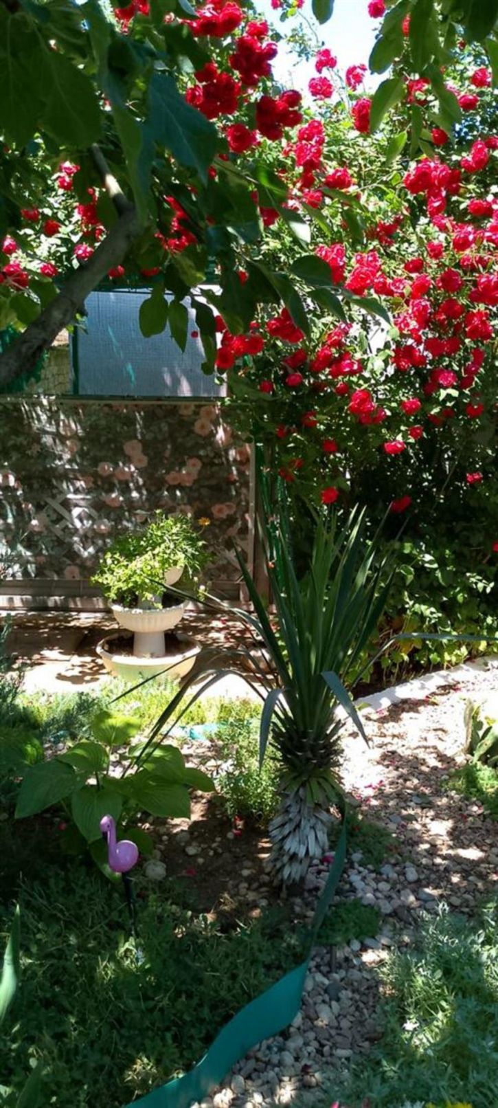 Коттедж/дом Журавли