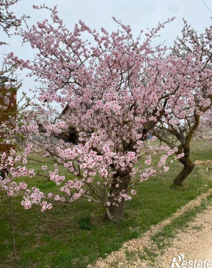 Земельный участок Сакский район, село Уютное