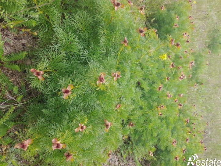 Земельный участок 35К-005