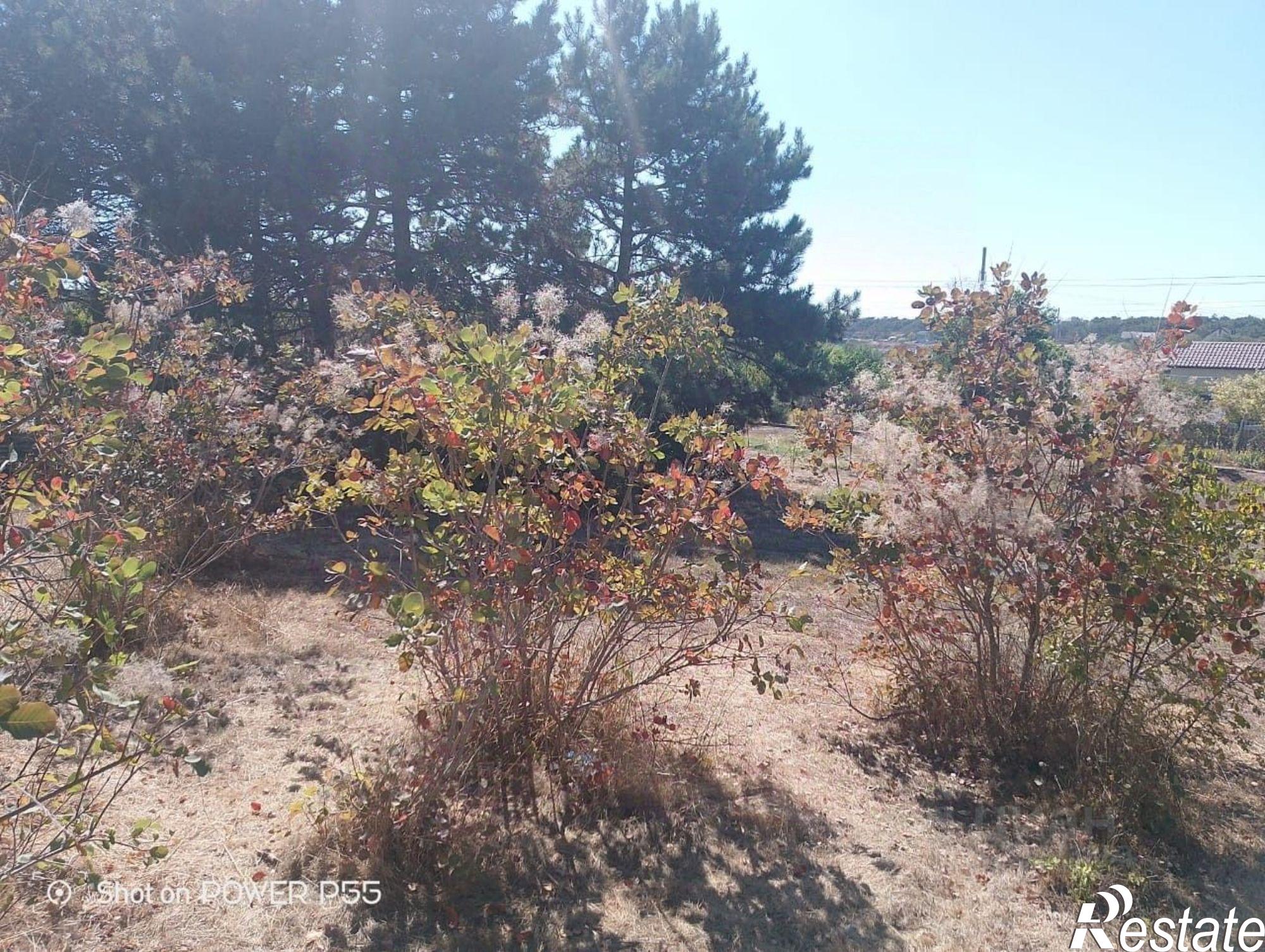 Купить землю, земельный участок за 6 200 000 рублей на Севастополь, СТ Огонёк