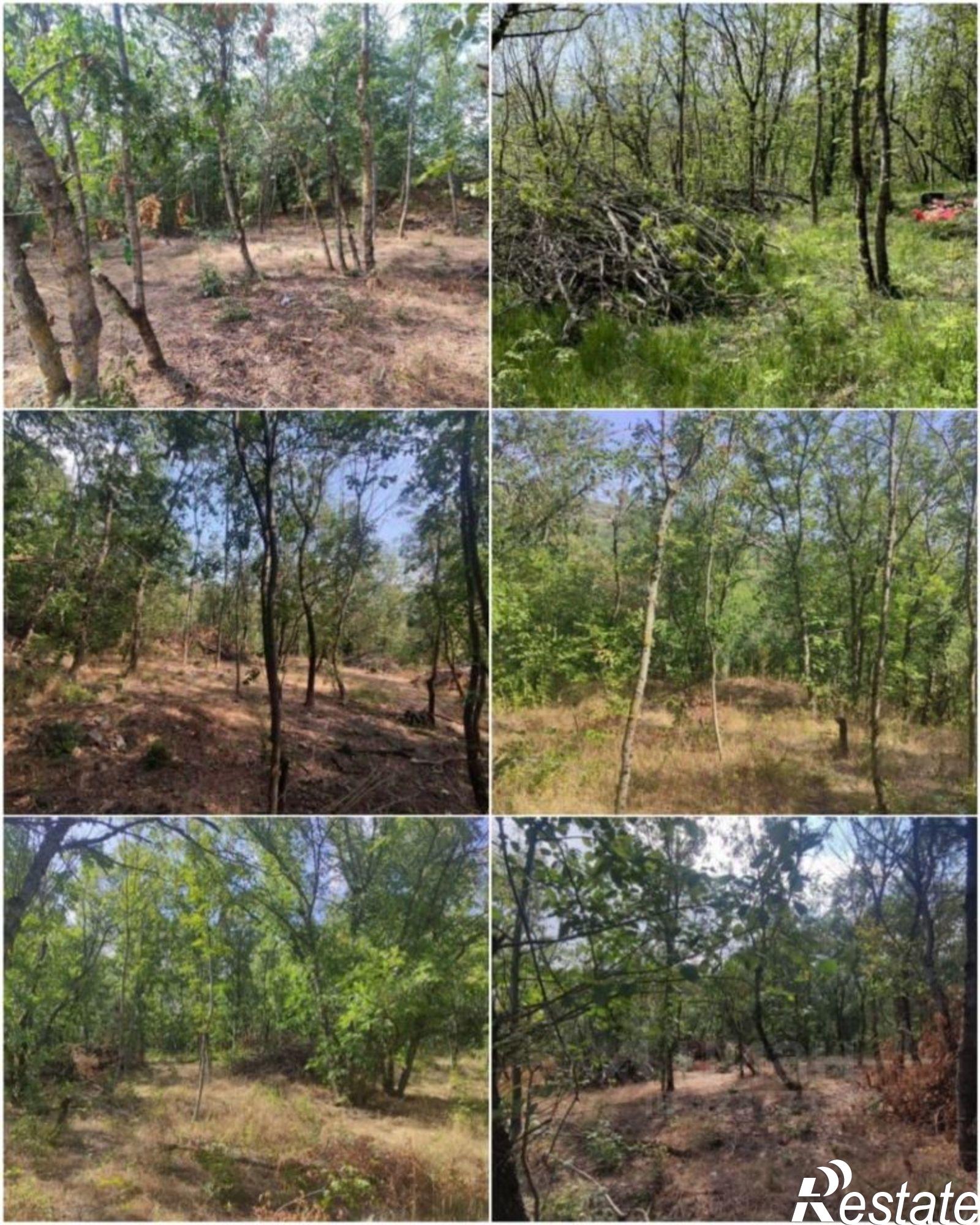 Купить землю, земельный участок за 6 200 000 рублей на Севастополь, СТ Огонёк