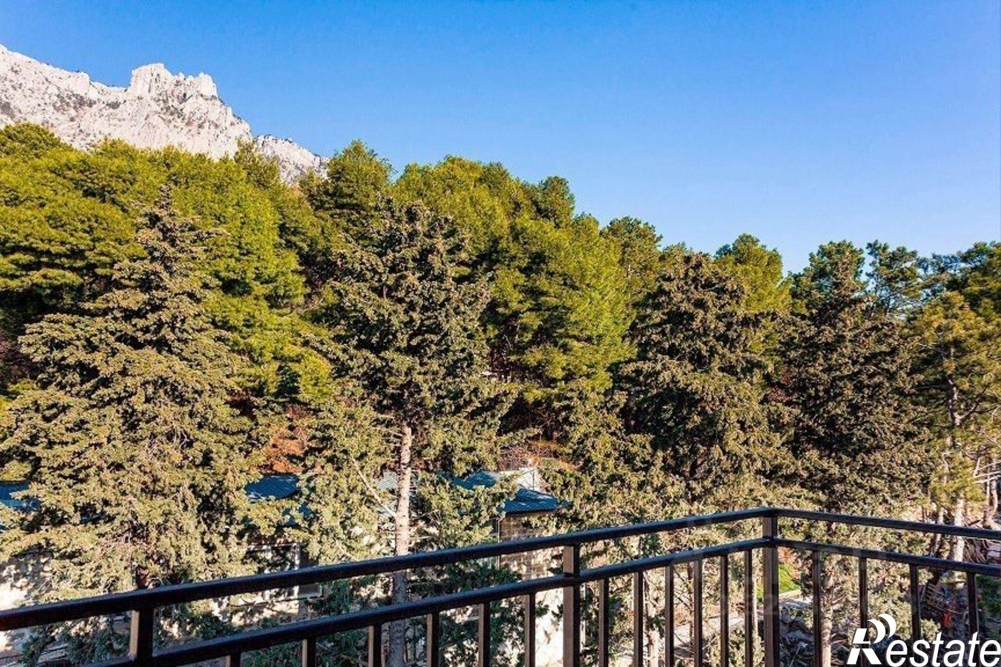 Купить квартиру за 27 000 000 рублей на Севастопольское шоссе, 2А