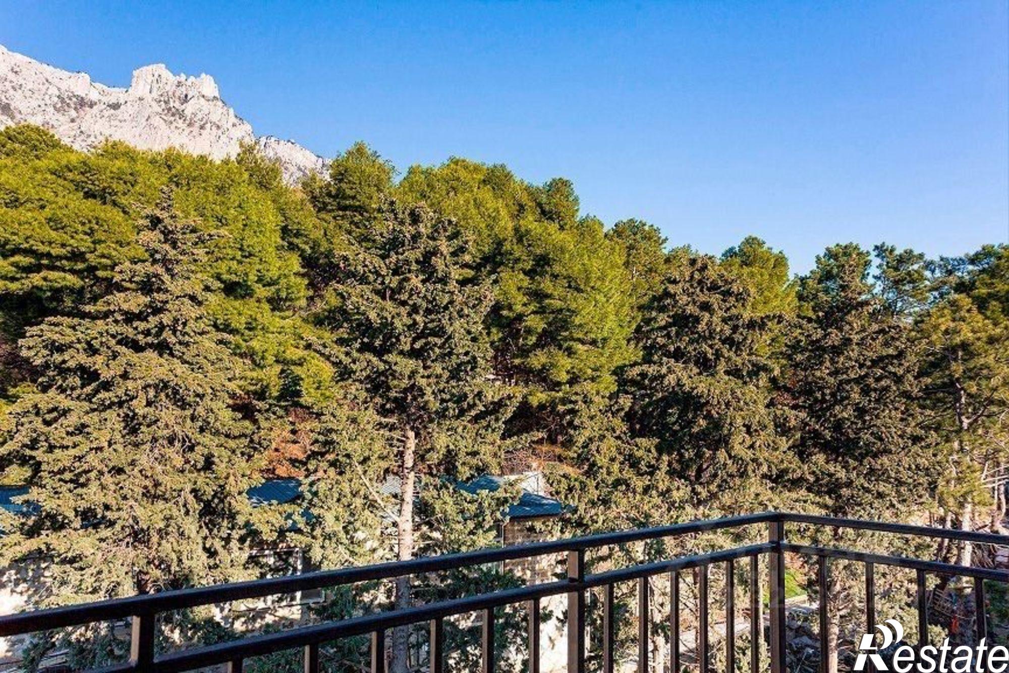 Купить квартиру за 16 100 000 рублей на Севастопольское шоссе, 2А