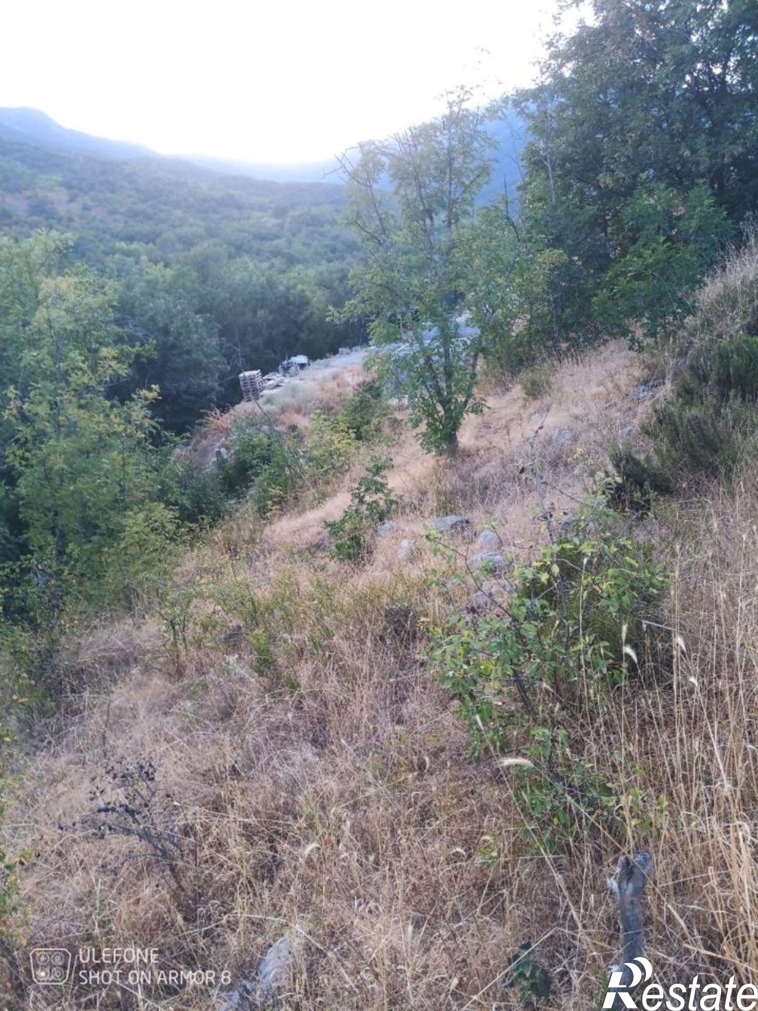 Купить землю, земельный участок за 1 700 000 рублей на муниципальный округ Алушта