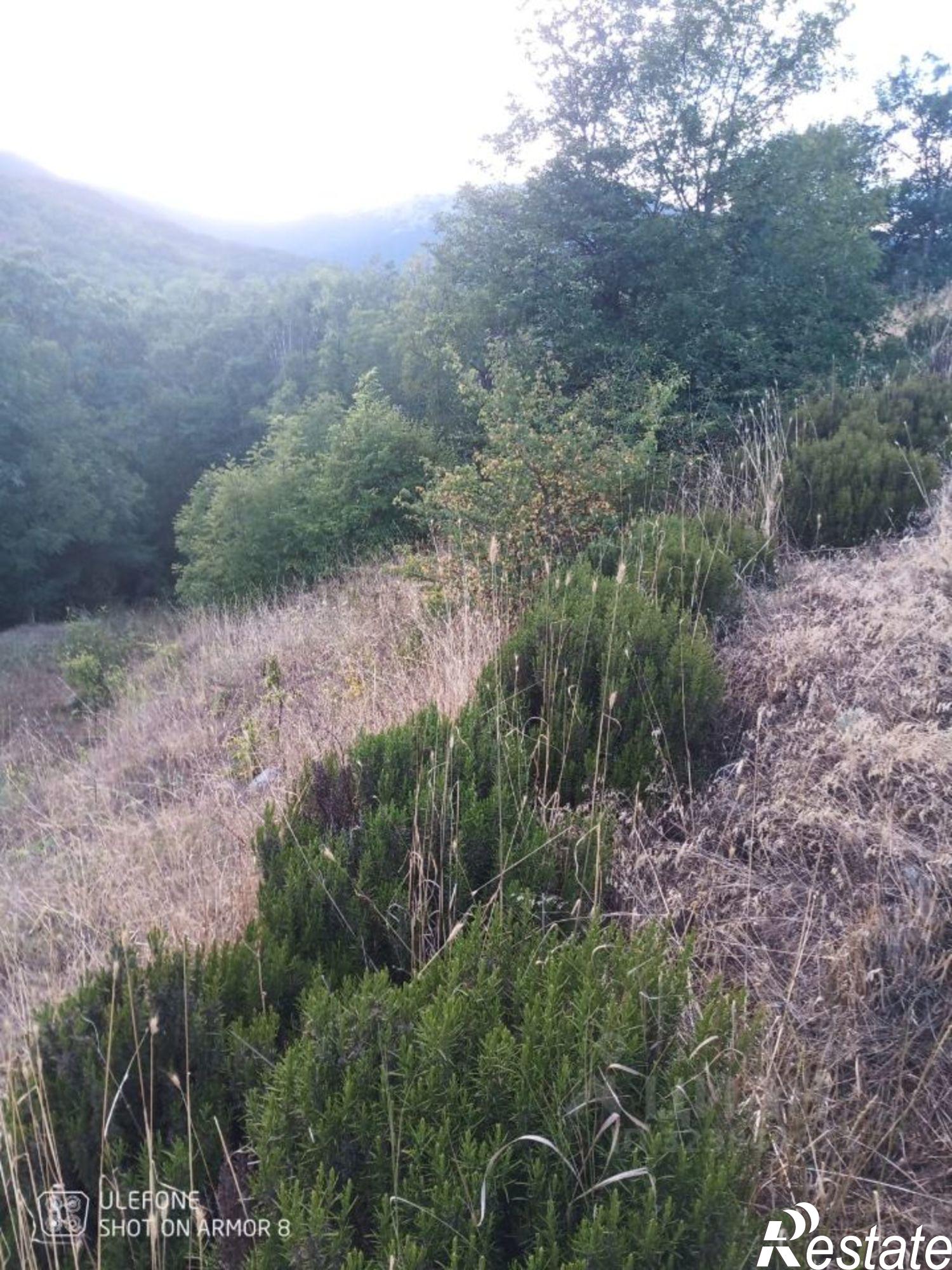 Купить землю, земельный участок за 1 700 000 рублей на муниципальный округ Алушта