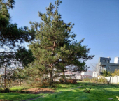 земля 11 сот улица Балтийская