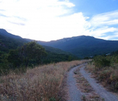 земля 5 сот муниципальный округ Алушта