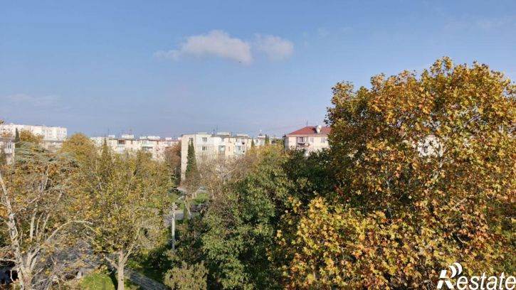 Комната улица Маршала Блюхера, 11,  д. 11