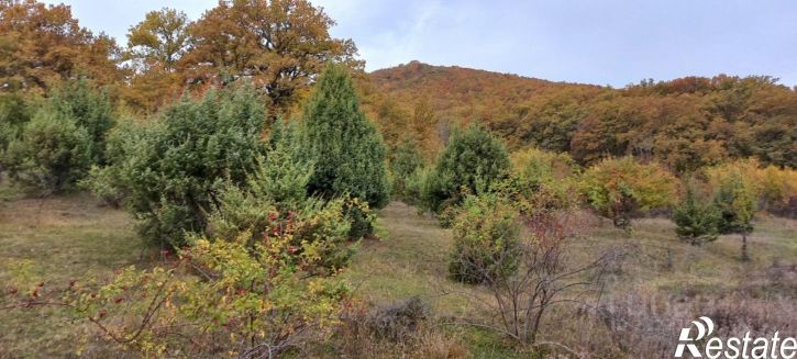 Коттедж/дом ул Горная