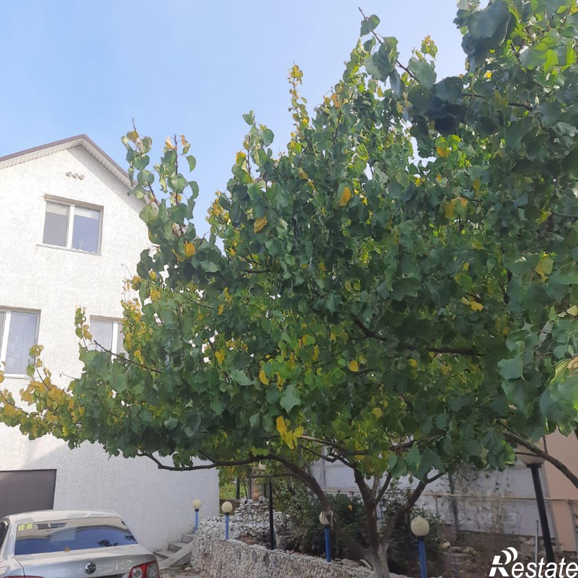 Купить дачу, дом, коттедж за 21 000 000 рублей на Севастополь, ТСН СНТ Эдельвейс