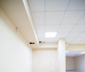 офис 131 кв м, этаж -1/10 Античный пр-кт, 64 4