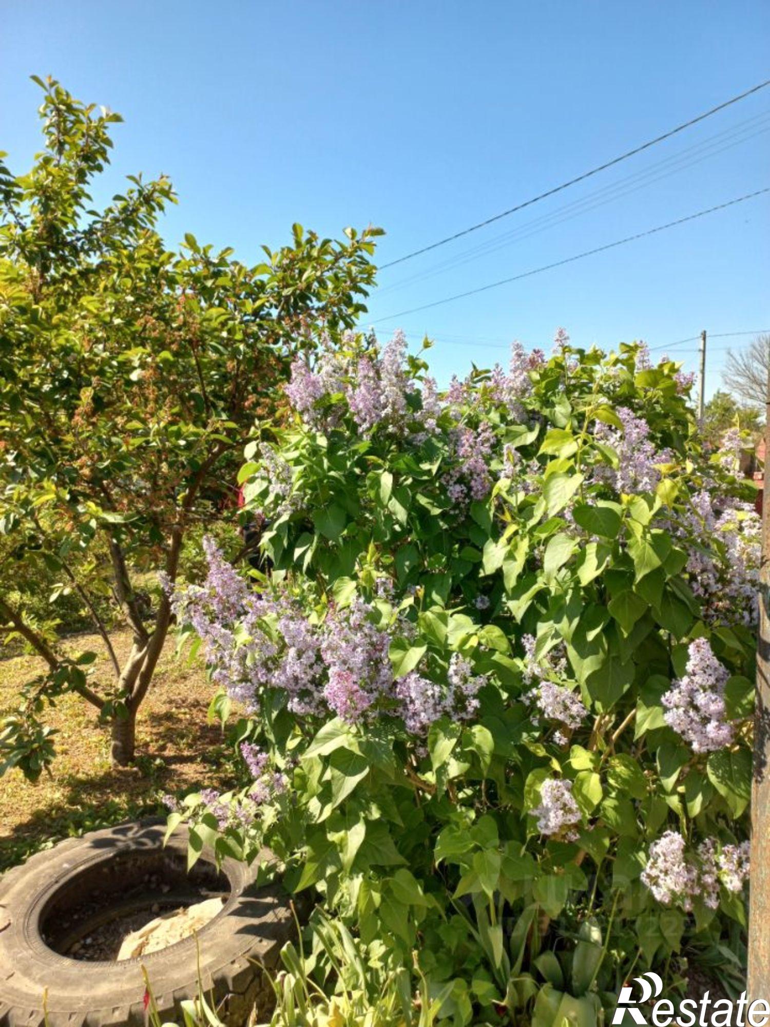 Купить дачу, дом, коттедж за 4 000 000 рублей на улица 40 лет Победы