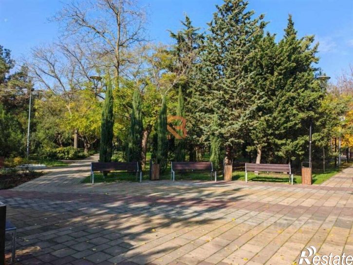 1-комн квартира пр-кт Генерала Острякова, 66,  д. 66