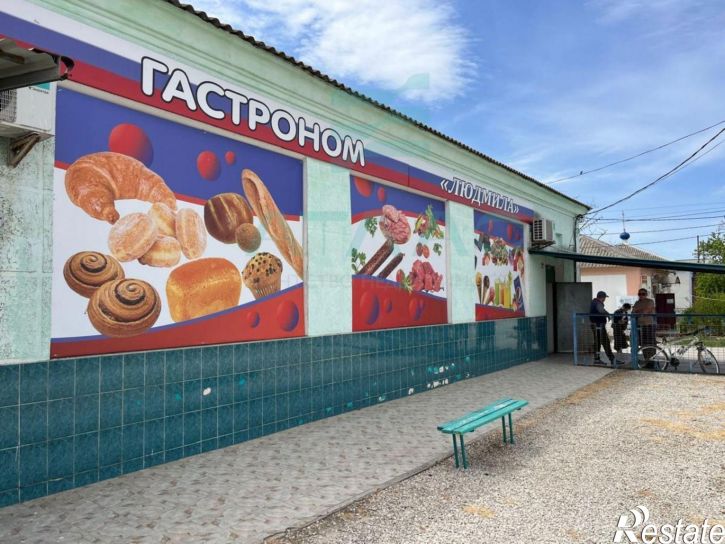 Торговое помещение Джанкойский р-н, Мирновка с, Новая ул