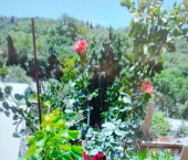 земля 5 сот ул им Олега Кошевого, 1