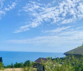 земля 4 сот Виноградный с-к, 6/1