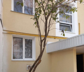 3-комн, 68кв м, этаж 1/5 мкр им Генерала Корявко, 21